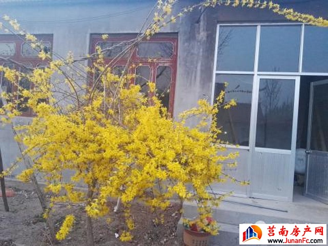 莒南环卫小区 1室1厅 320平米 简单装修 2000元/月