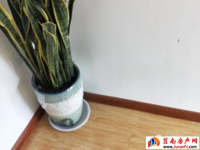 金盾嘉苑 3室2厅 100平米 简单装修 1000元/月