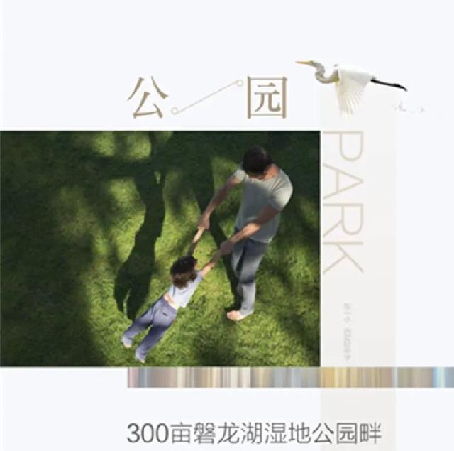 爱琴海主城公园新品洋房，再一次轰动莒南！