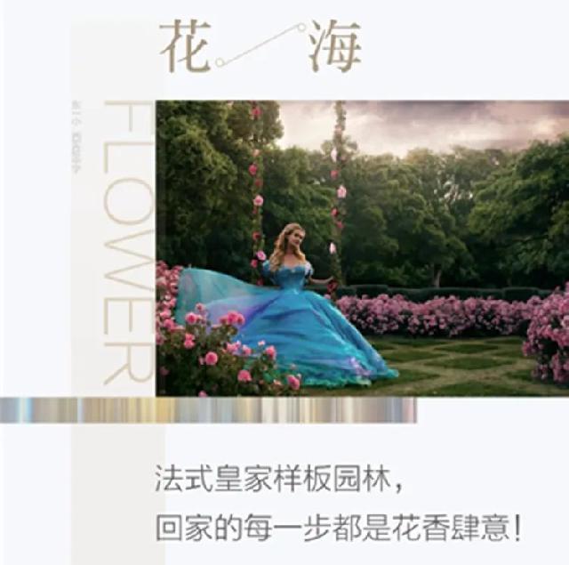 爱琴海主城公园新品洋房，再一次轰动莒南！